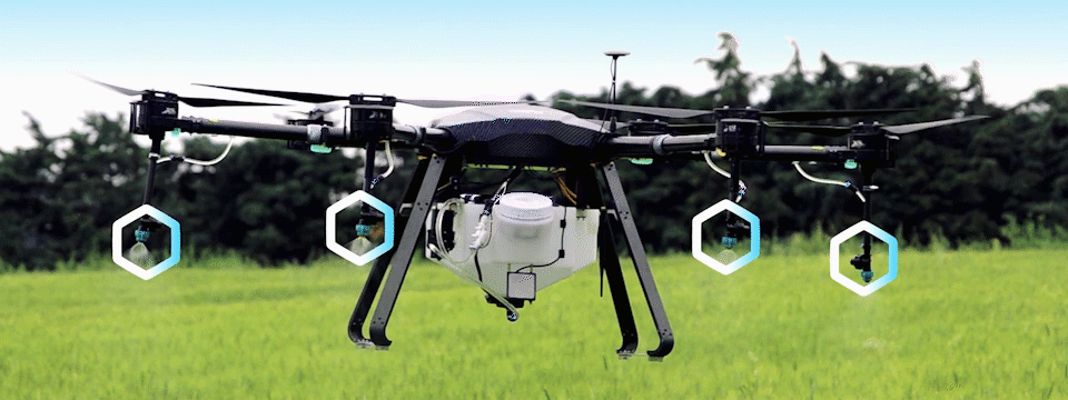 Agriculture Services