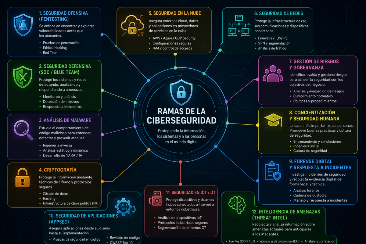 Ramas de la Ciberseguridad