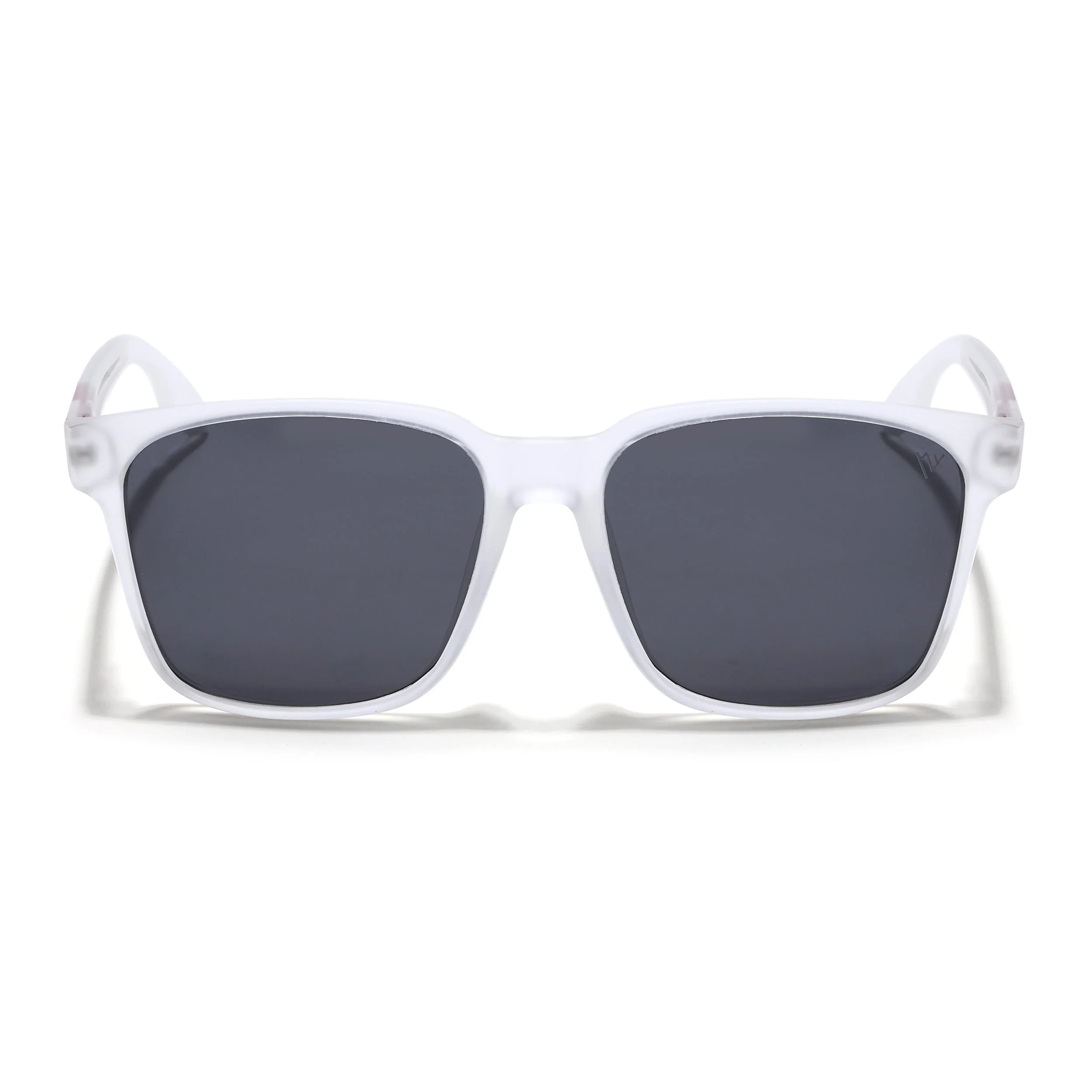 Transparent Wayfarer Polarized Sunglasses - PMG4488
