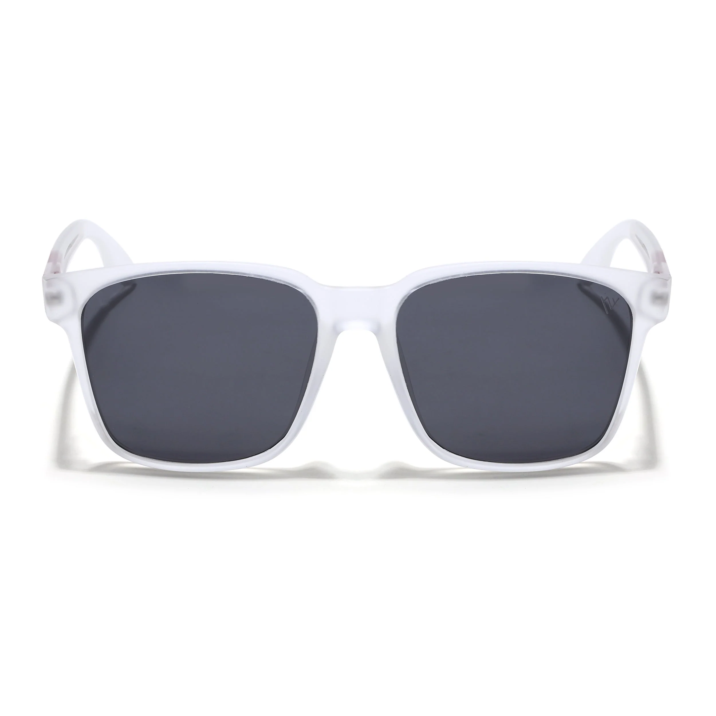Transparent Wayfarer Polarized Sunglasses - PMG4488