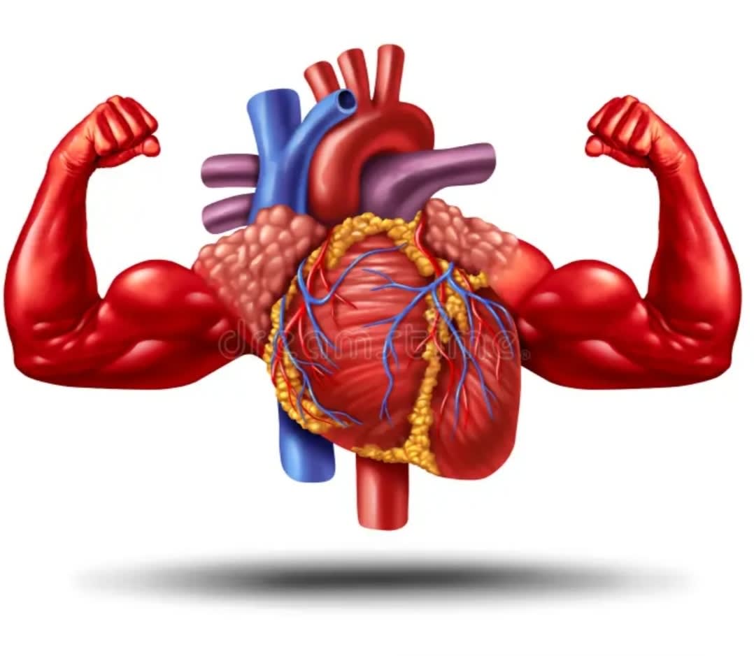 Heart Health essential: A complete guide to stronger heart