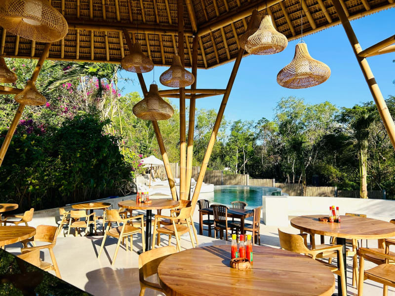 Infinity pool surrounded by greenery