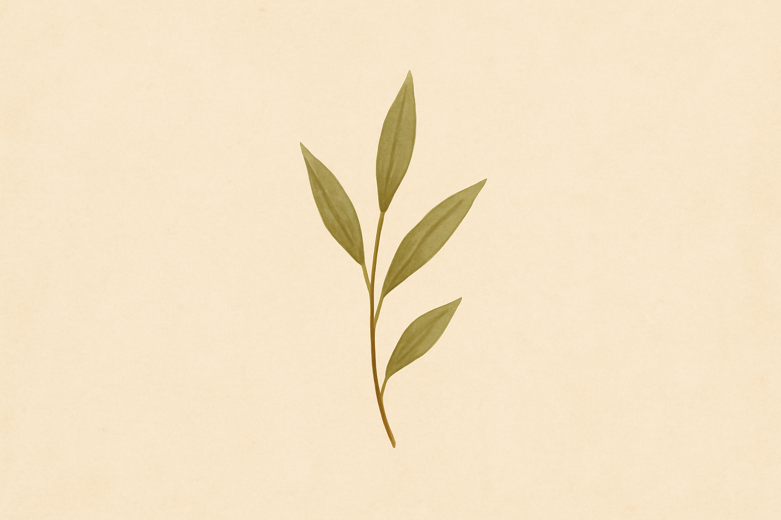 teach conflict resolution games peace guide - Walk For Peace