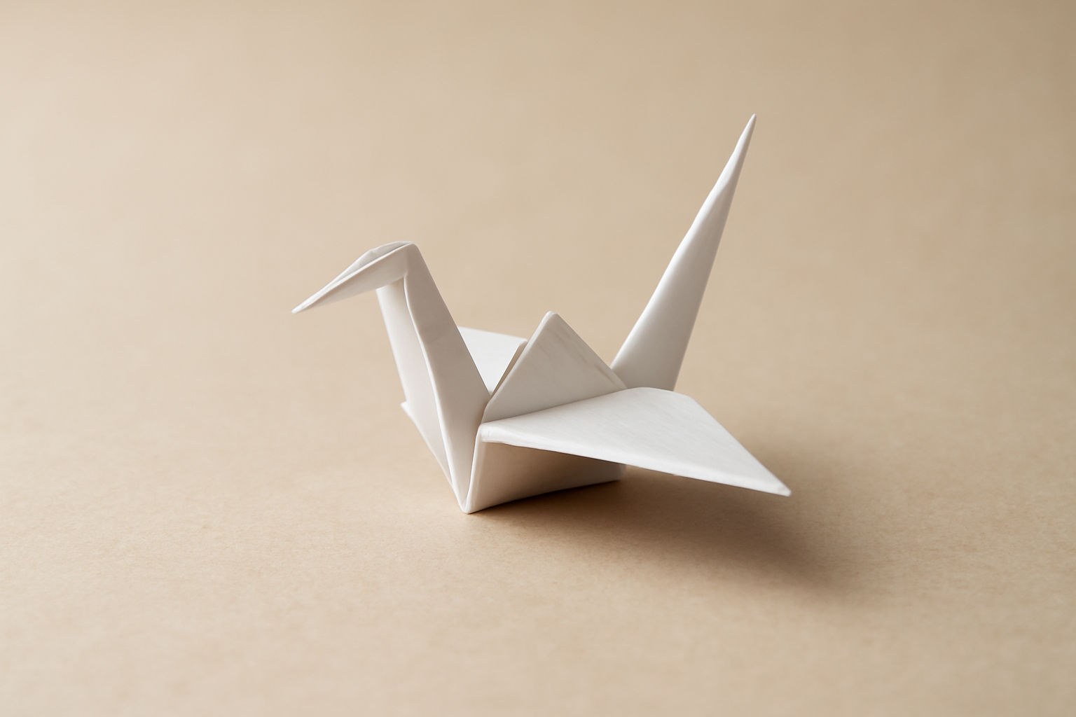 work with people you disagree with peace guide - Walk For Peace