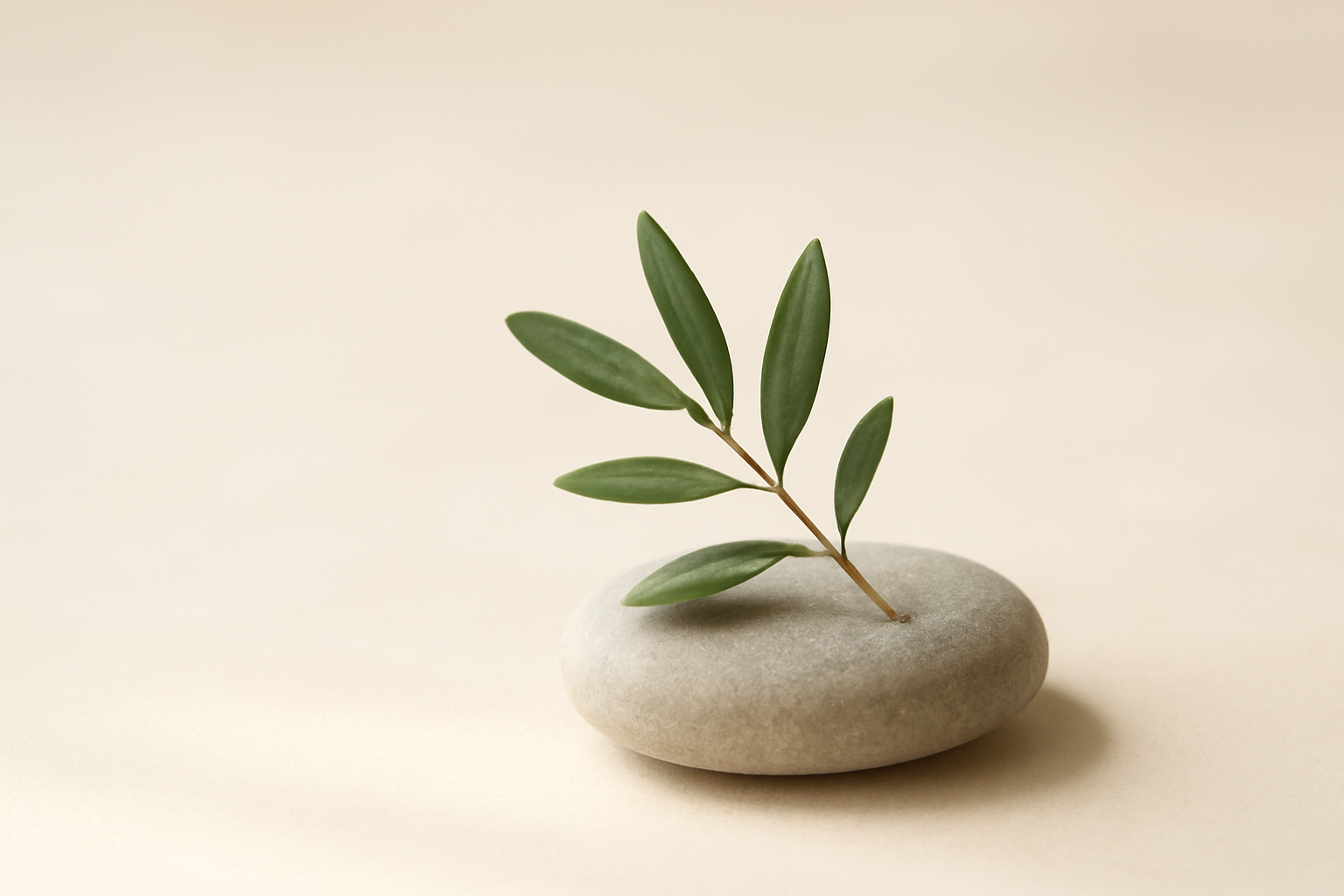 practice kindness without burnout peace guide - Walk For Peace