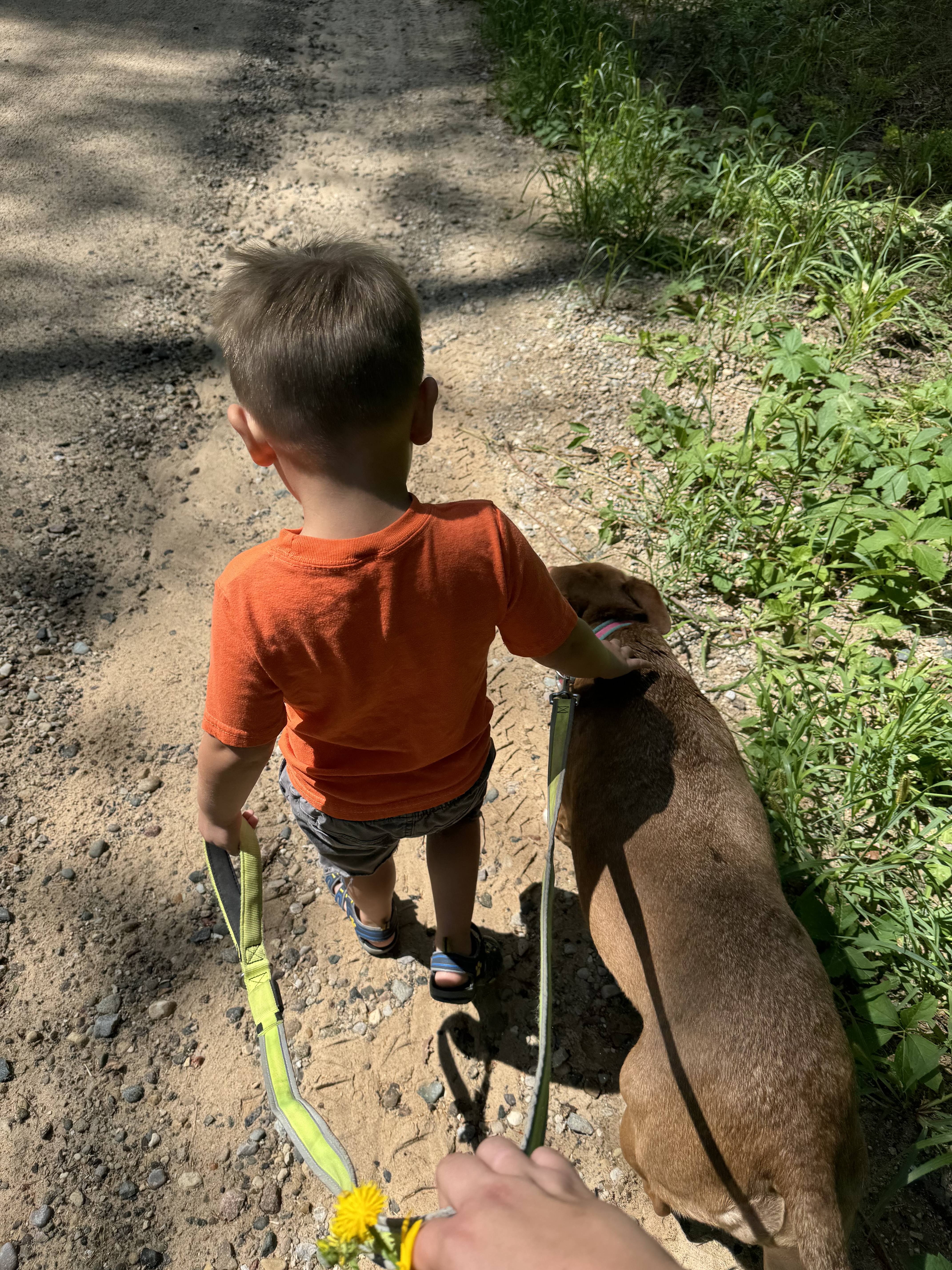 Activity Photo
