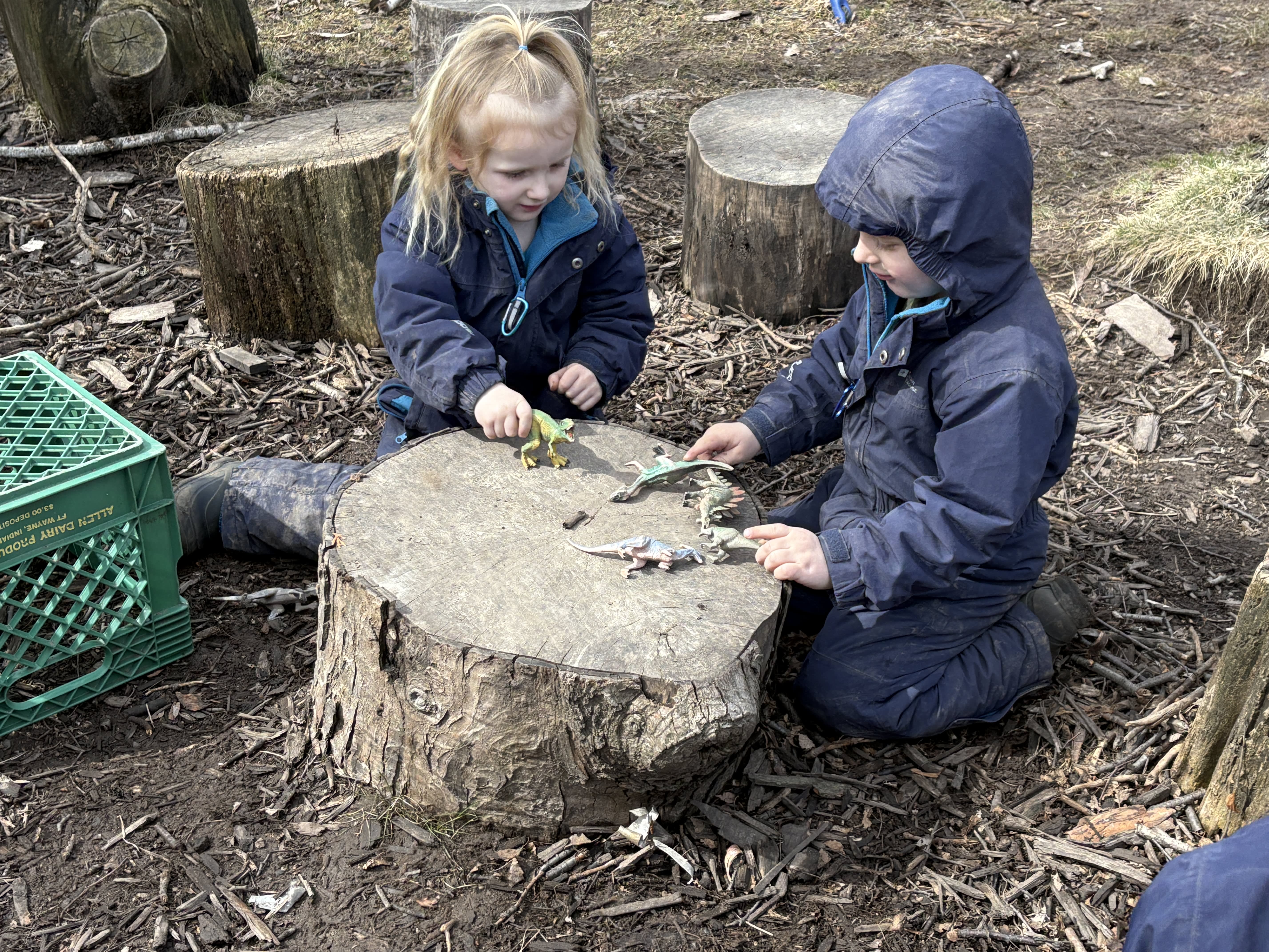 Activity Photo