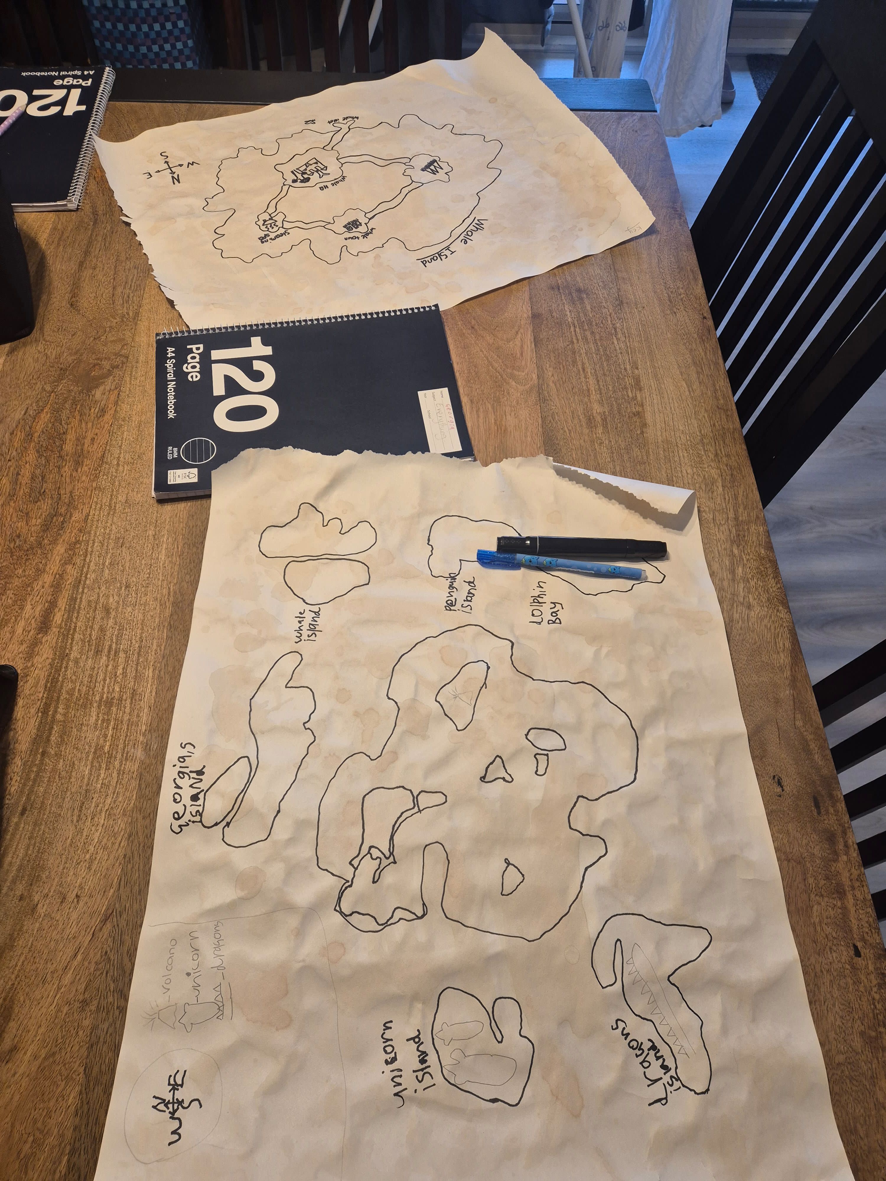 Activity Photo