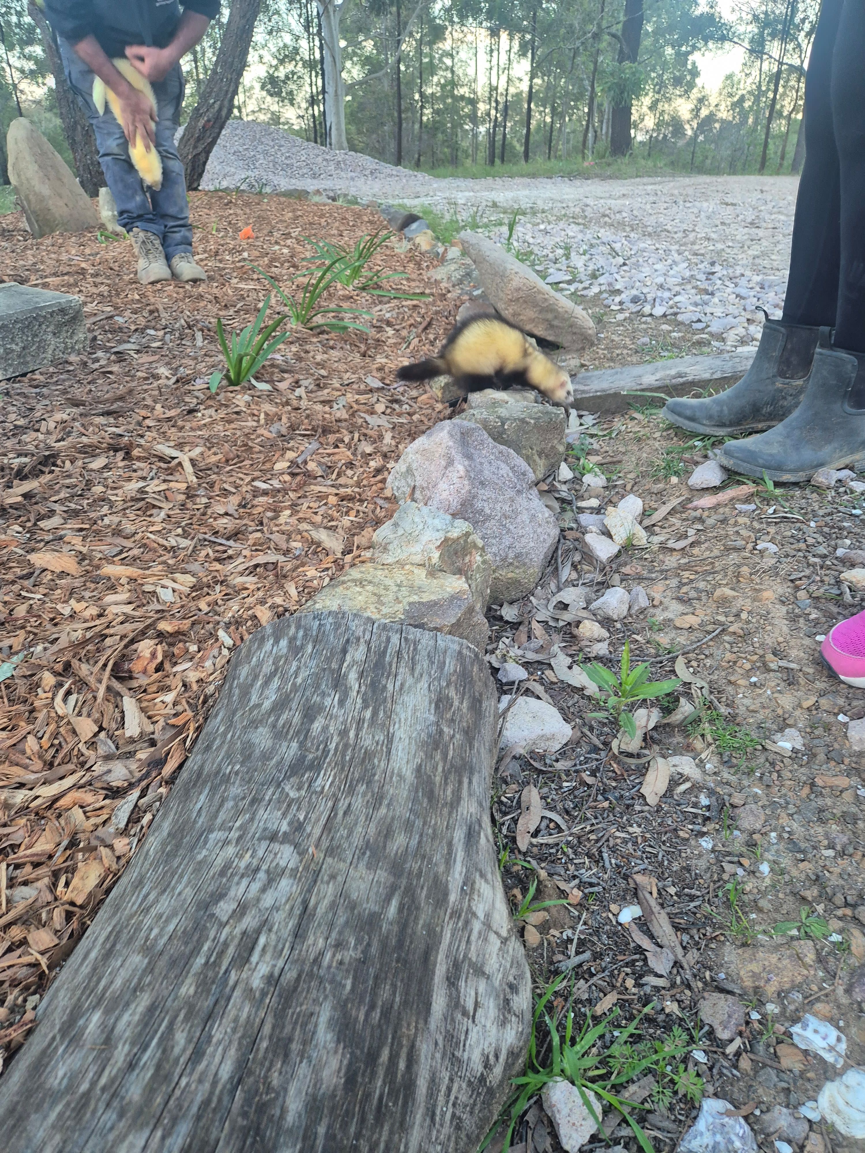 Activity Photo