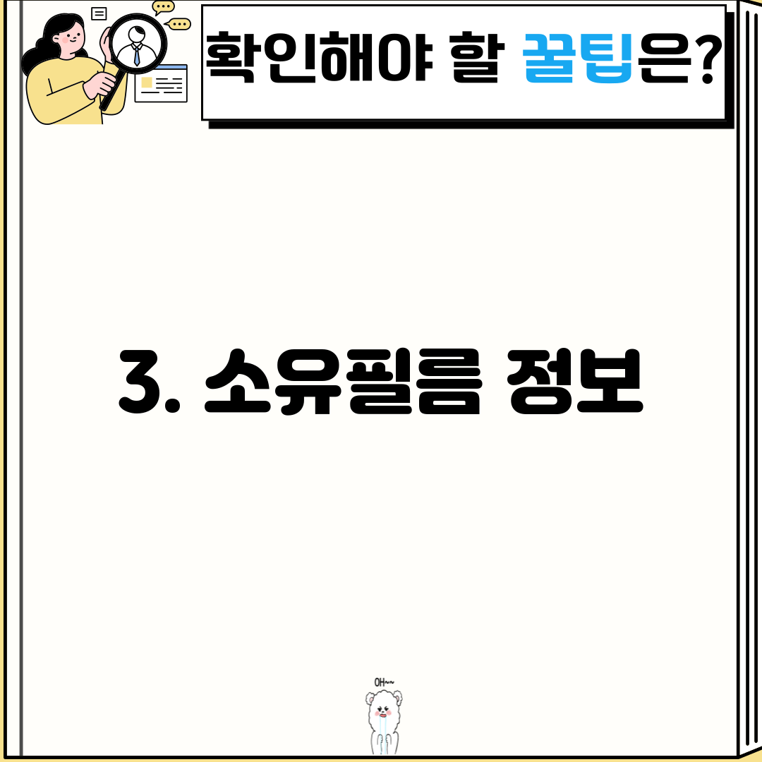 3. 소유필름 정보