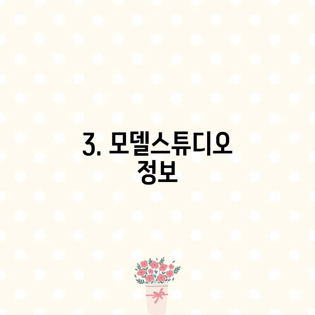 3. 모델스튜디오 정보