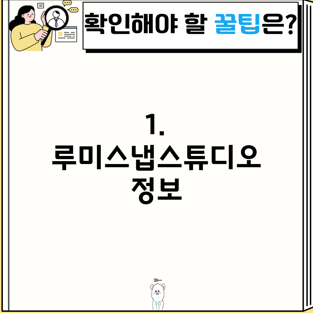 1. 루미스냅스튜디오 정보