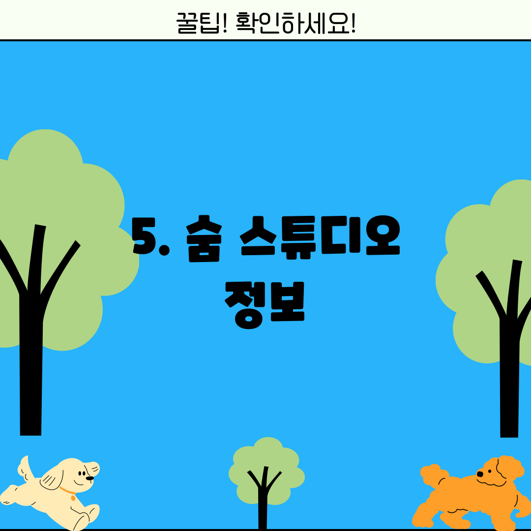 5. 숨 스튜디오 정보