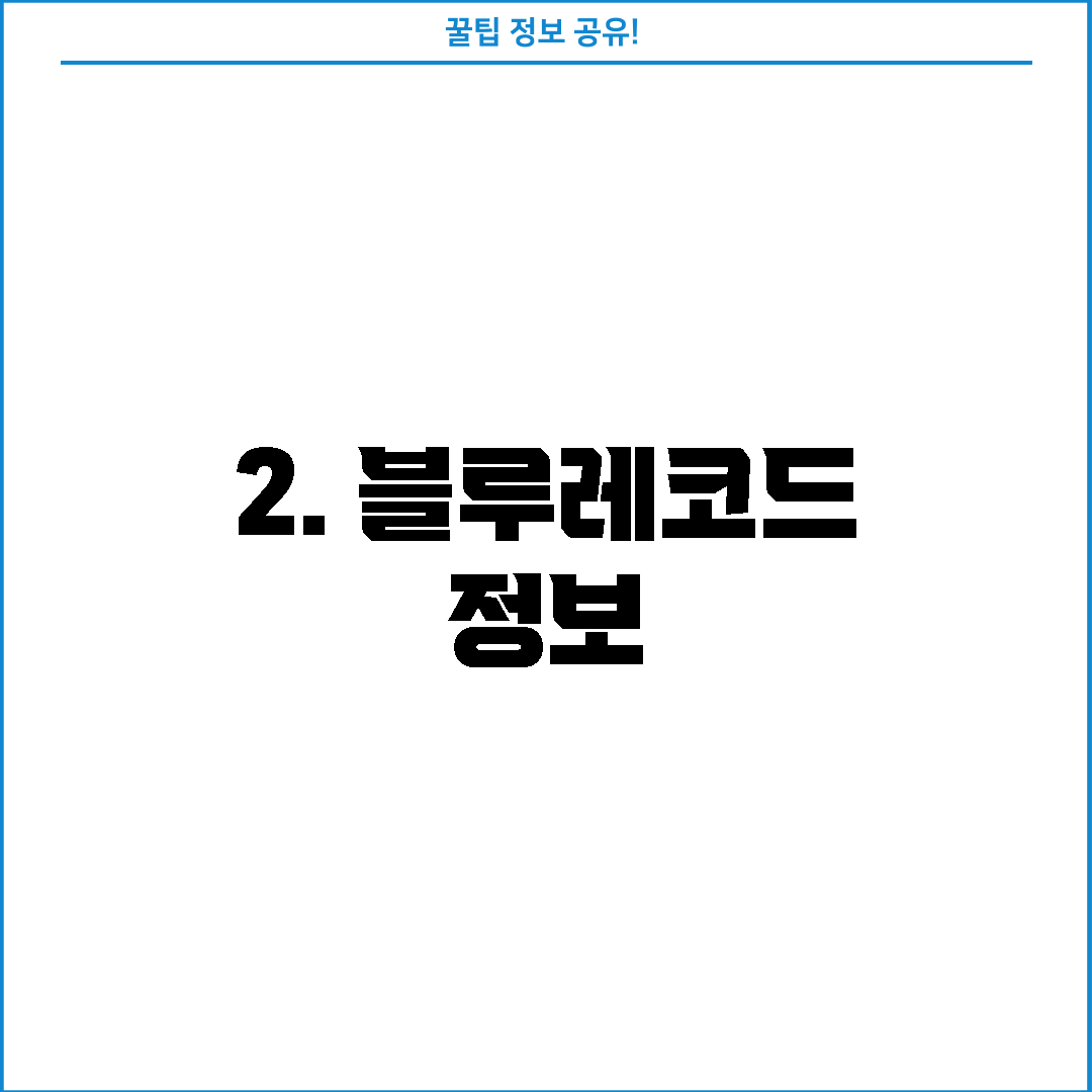 2. 블루레코드 정보