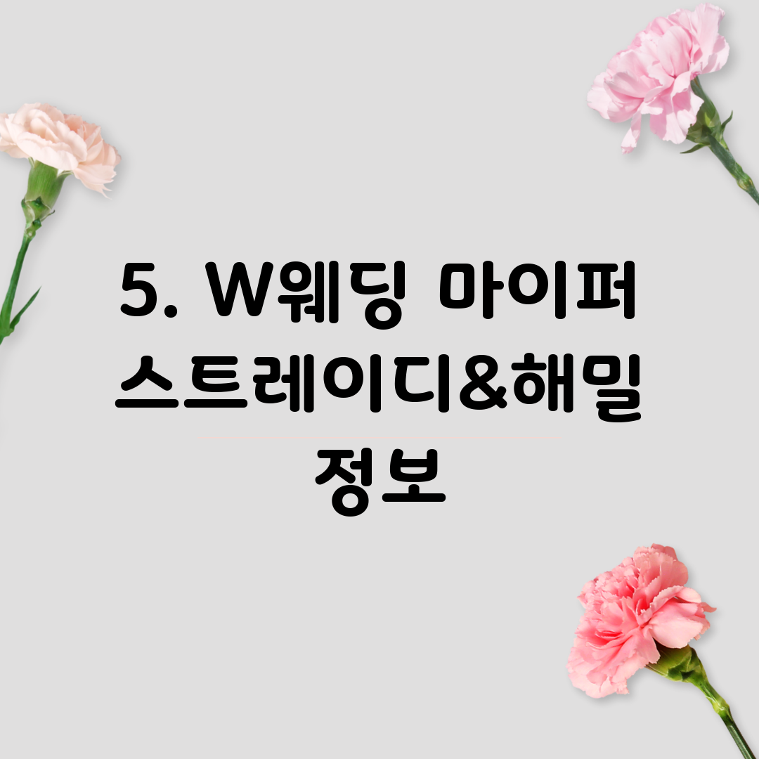5. W웨딩 마이퍼스트레이디&해밀 정보
