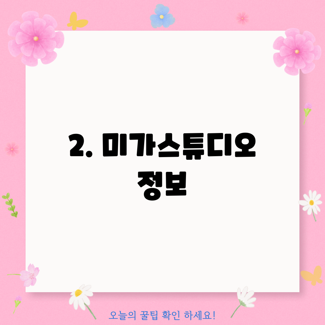 2. 미가스튜디오 정보
