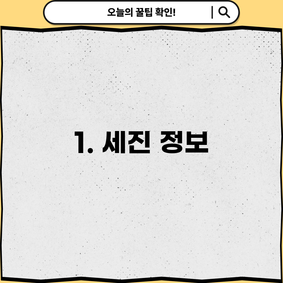 1. 세진 정보