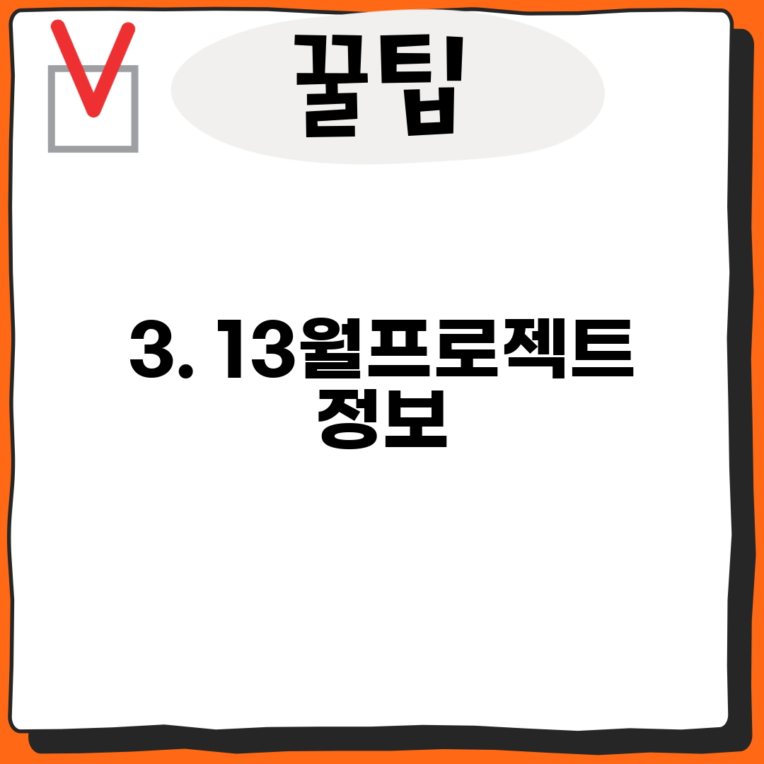 3. 13월프로젝트 정보