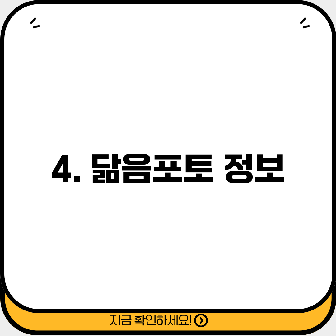 4. 닮음포토 정보