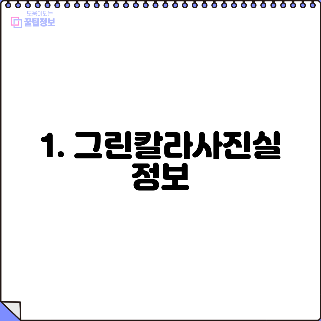 1. 그린칼라사진실 정보