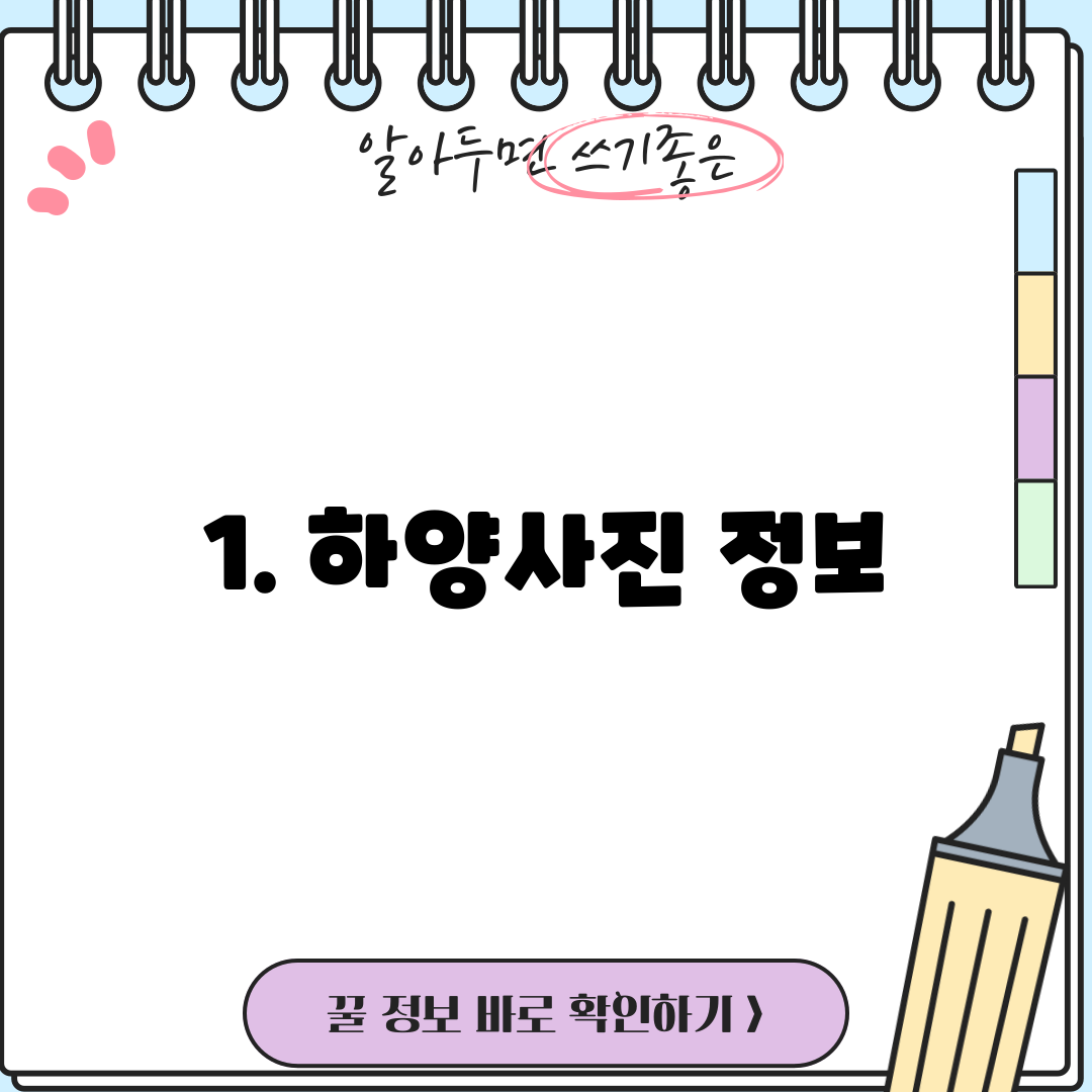1. 하양사진 정보