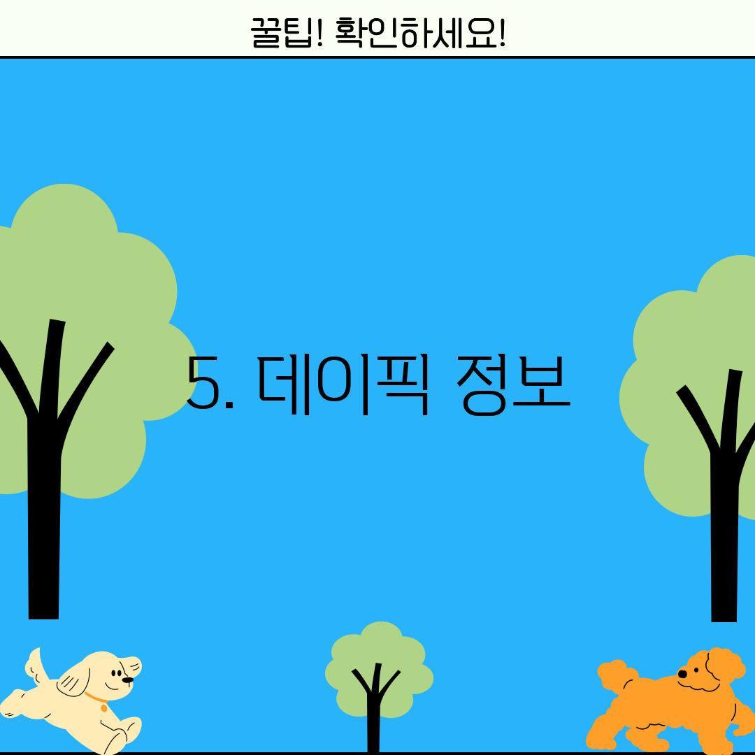 5. 데이픽 정보