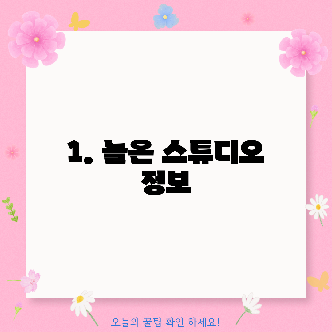 1. 늘온 스튜디오 정보