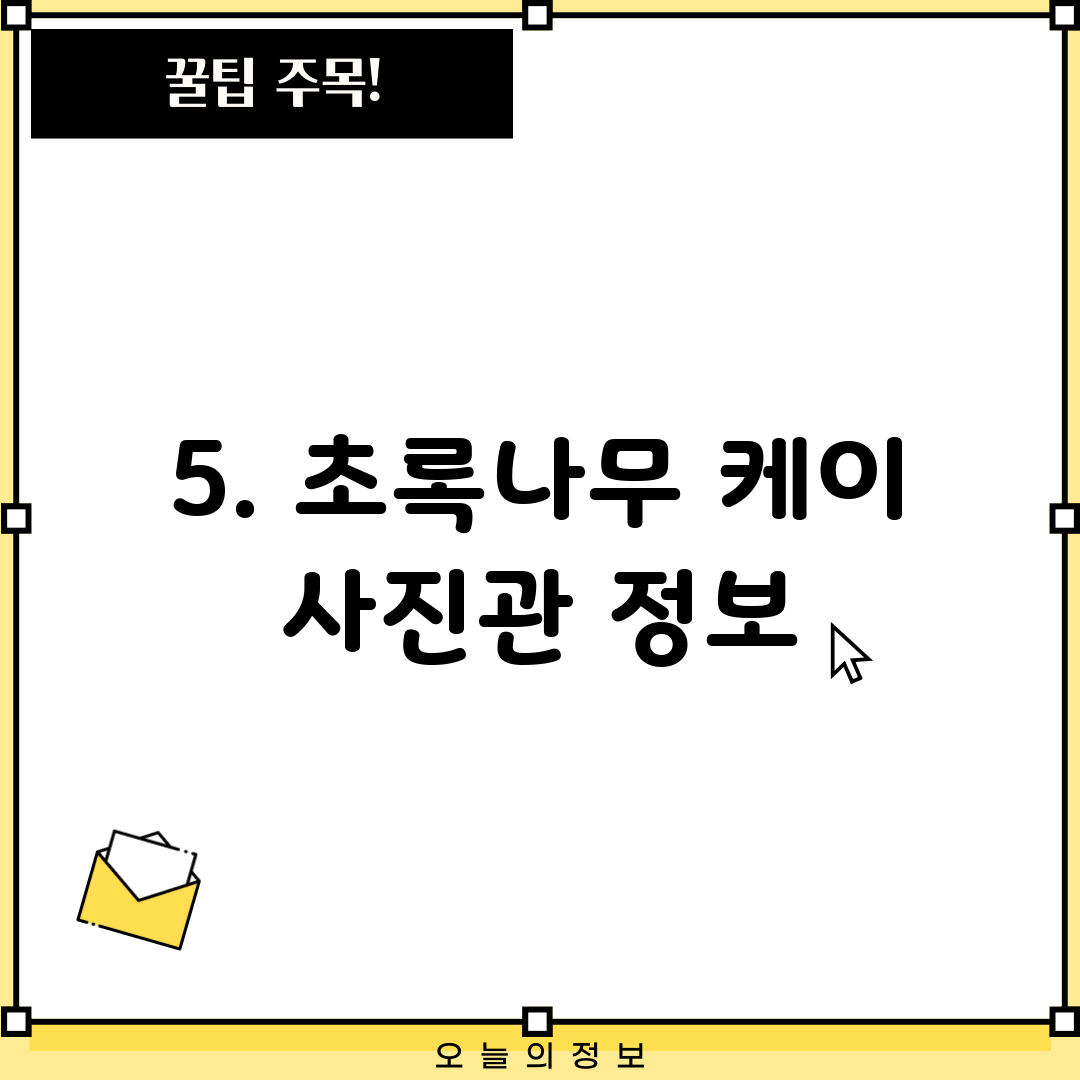 5. 초록나무 케이 사진관 정보