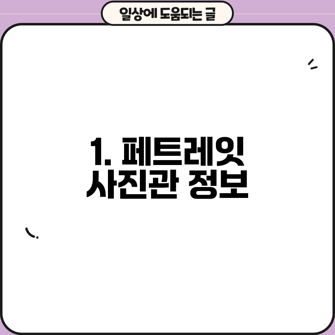 1. 페트레잇 사진관 정보