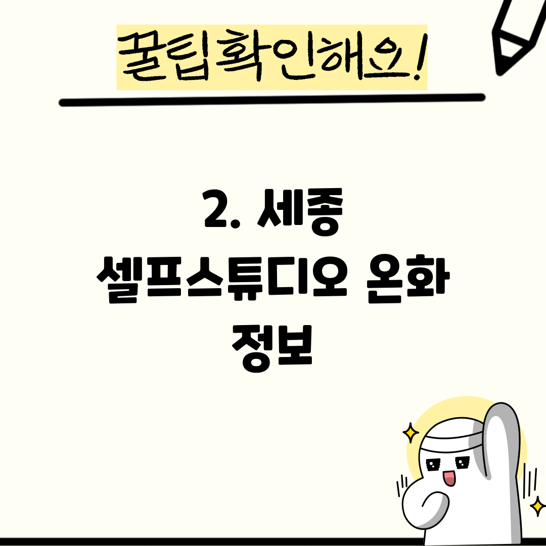 2. 세종 셀프스튜디오 온화 정보