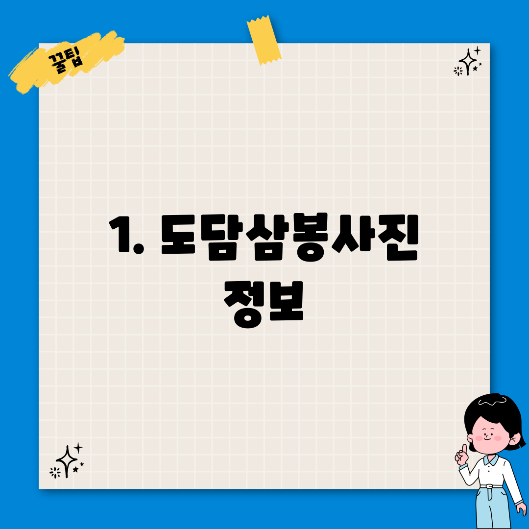 1. 도담삼봉사진 정보
