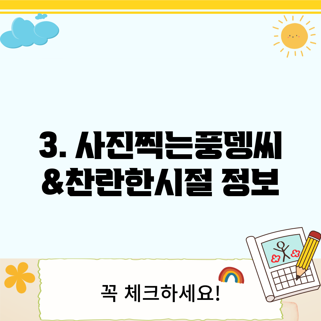 3. 사진찍는풍뎅씨&찬란한시절 정보