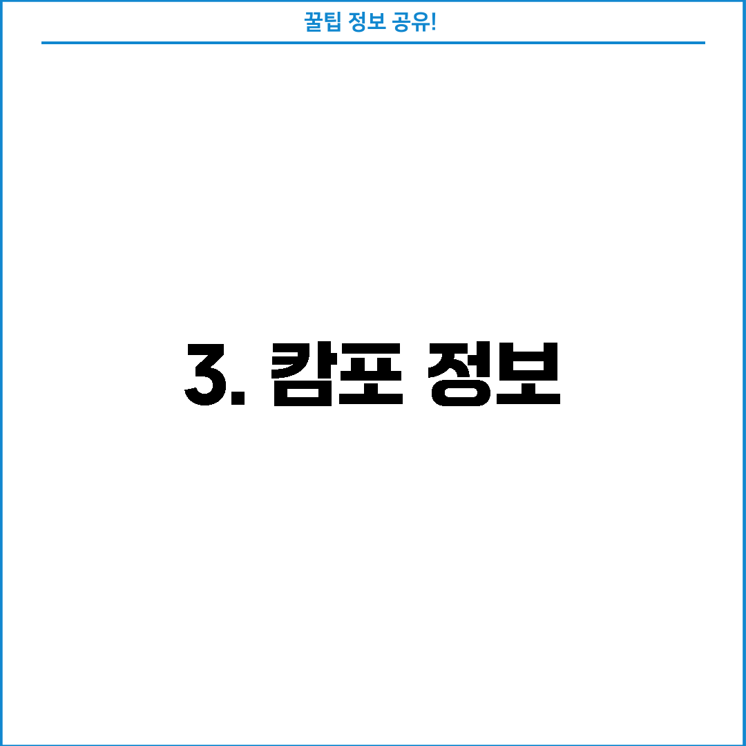 3. 캄포 정보