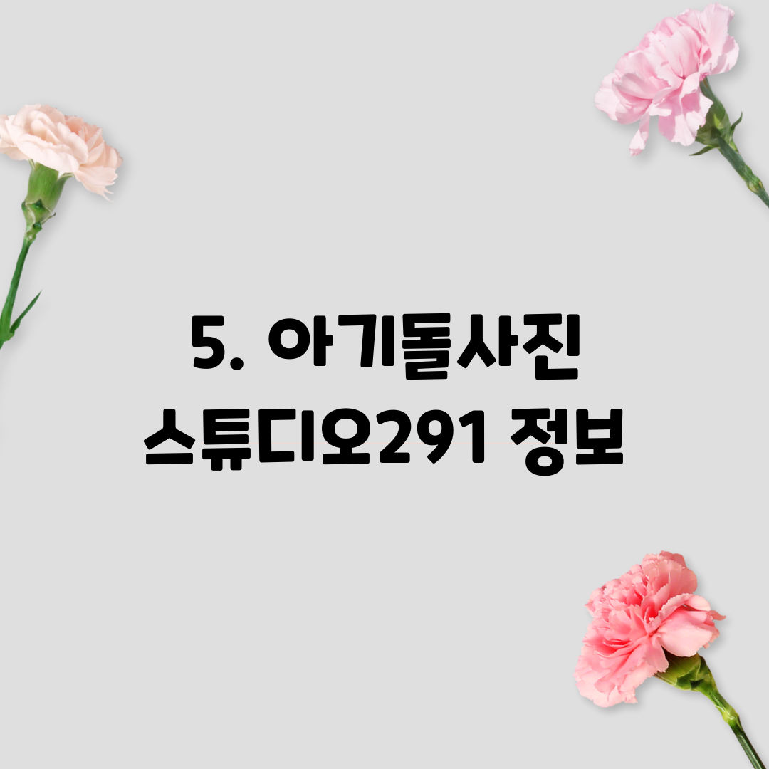 5. 아기돌사진 스튜디오291 정보