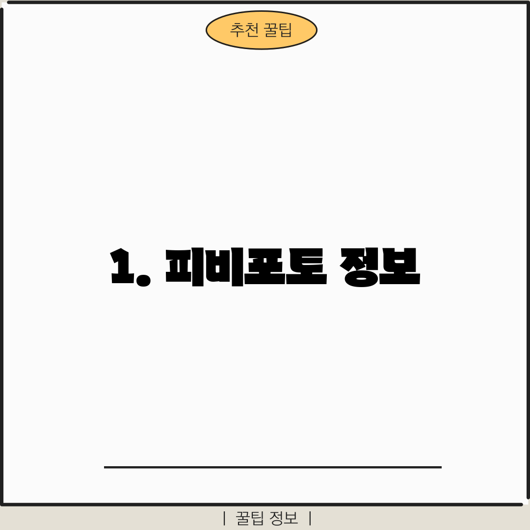1. 피비포토 정보