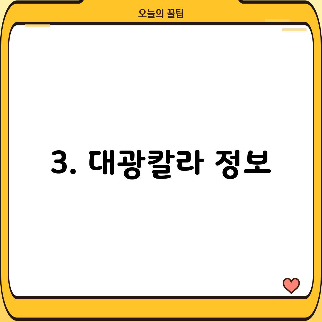 3. 대광칼라 정보