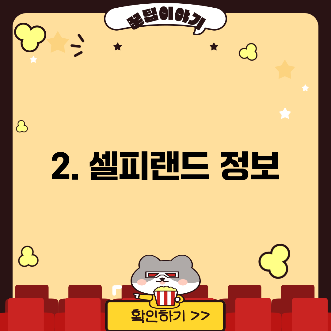 2. 셀피랜드 정보