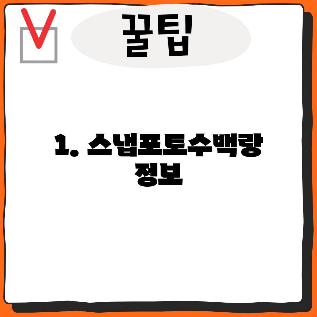 1. 스냅포토수백랑 정보