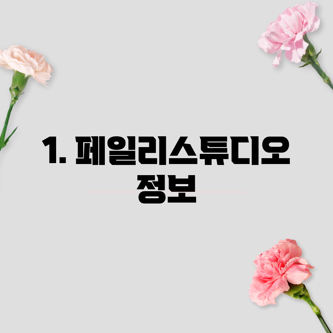1. 페일리스튜디오 정보