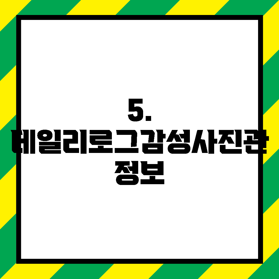 5. 데일리로그감성사진관 정보
