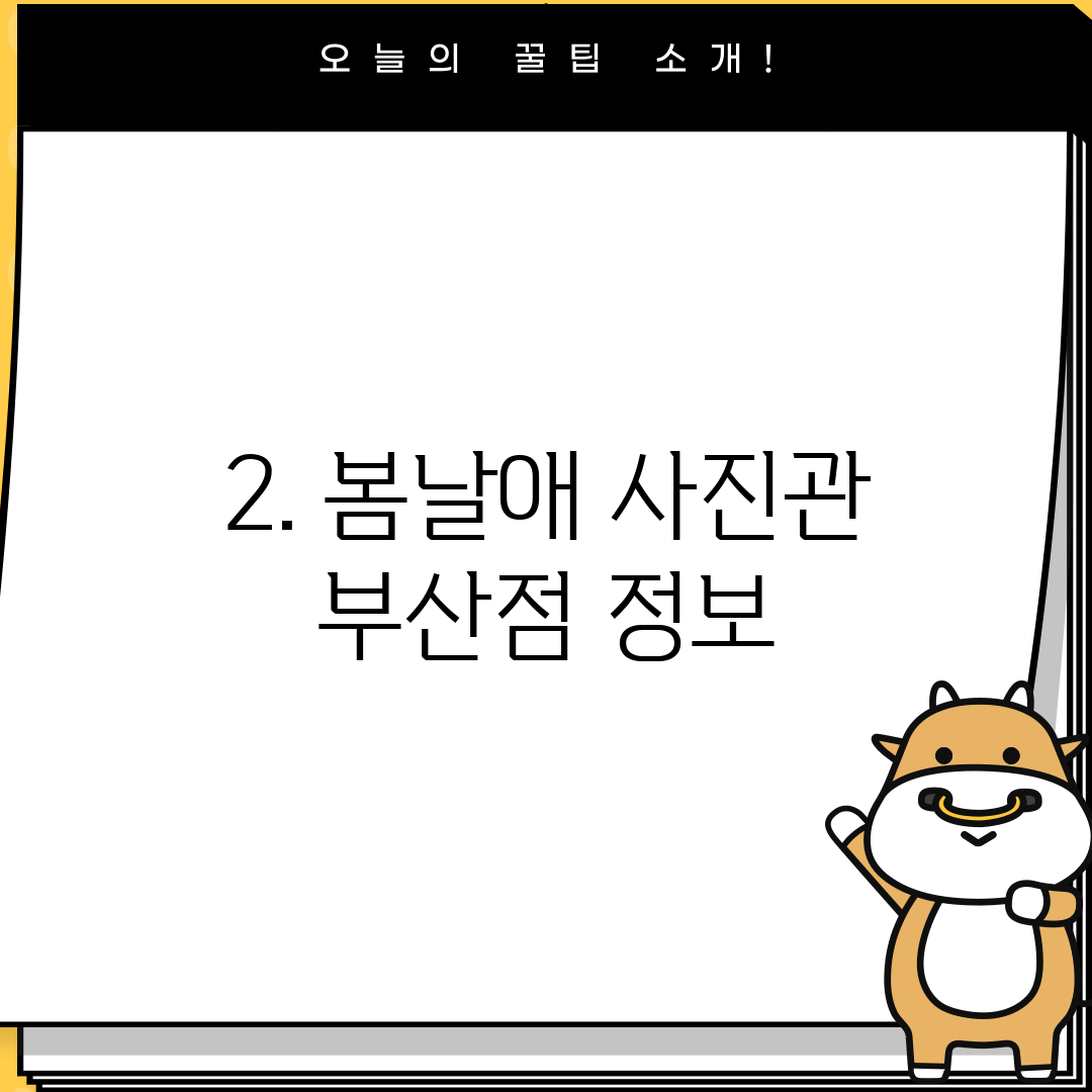 2. 봄날애 사진관 부산점 정보