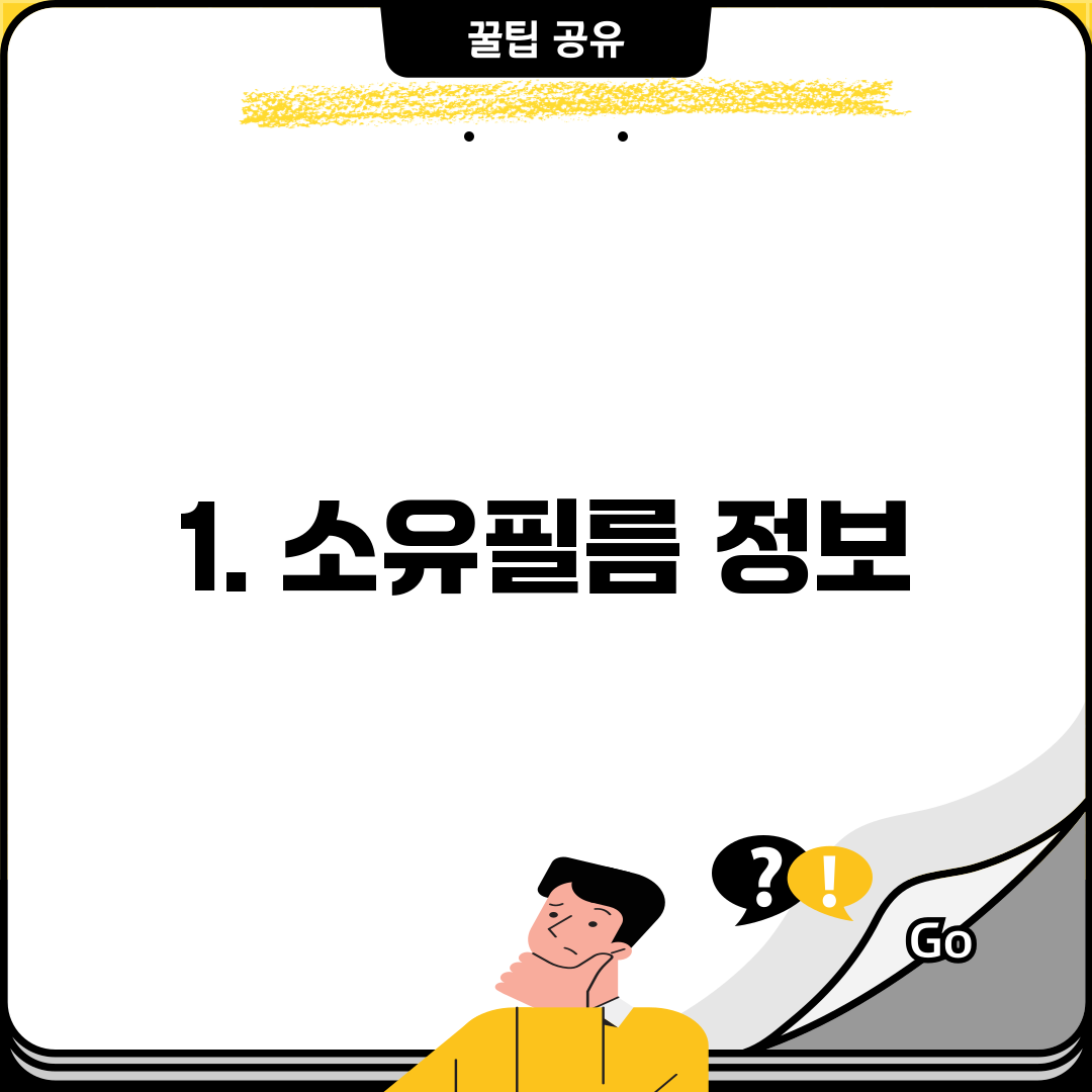 1. 소유필름 정보