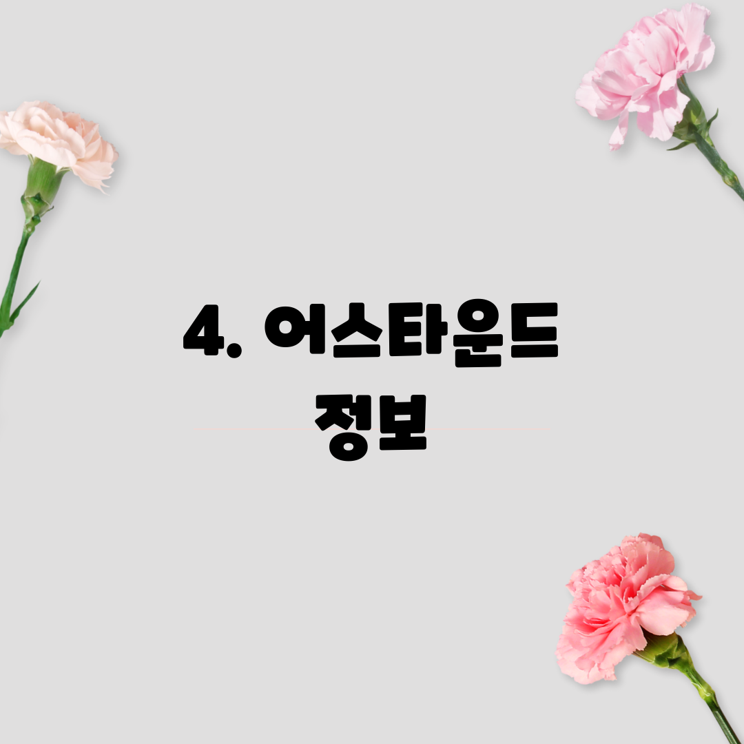 4. 어스타운드 정보