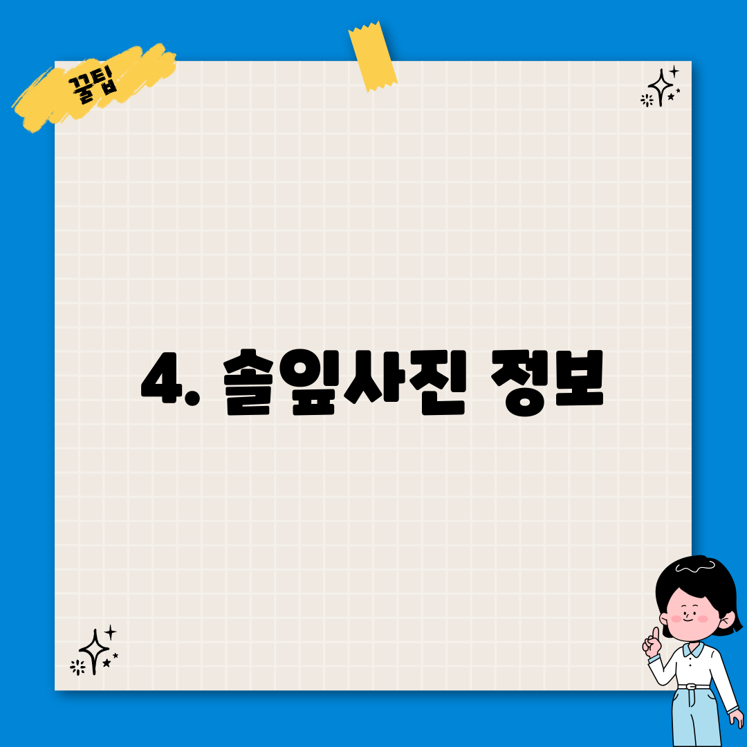 4. 솔잎사진 정보