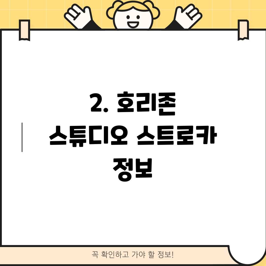 2. 호리존 스튜디오 스트로카 정보
