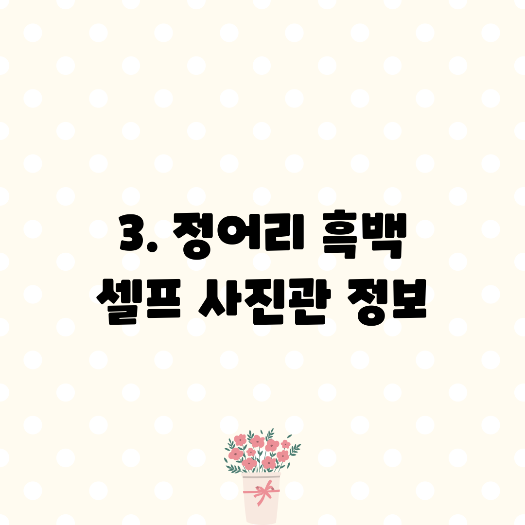 3. 정어리 흑백 셀프 사진관 정보