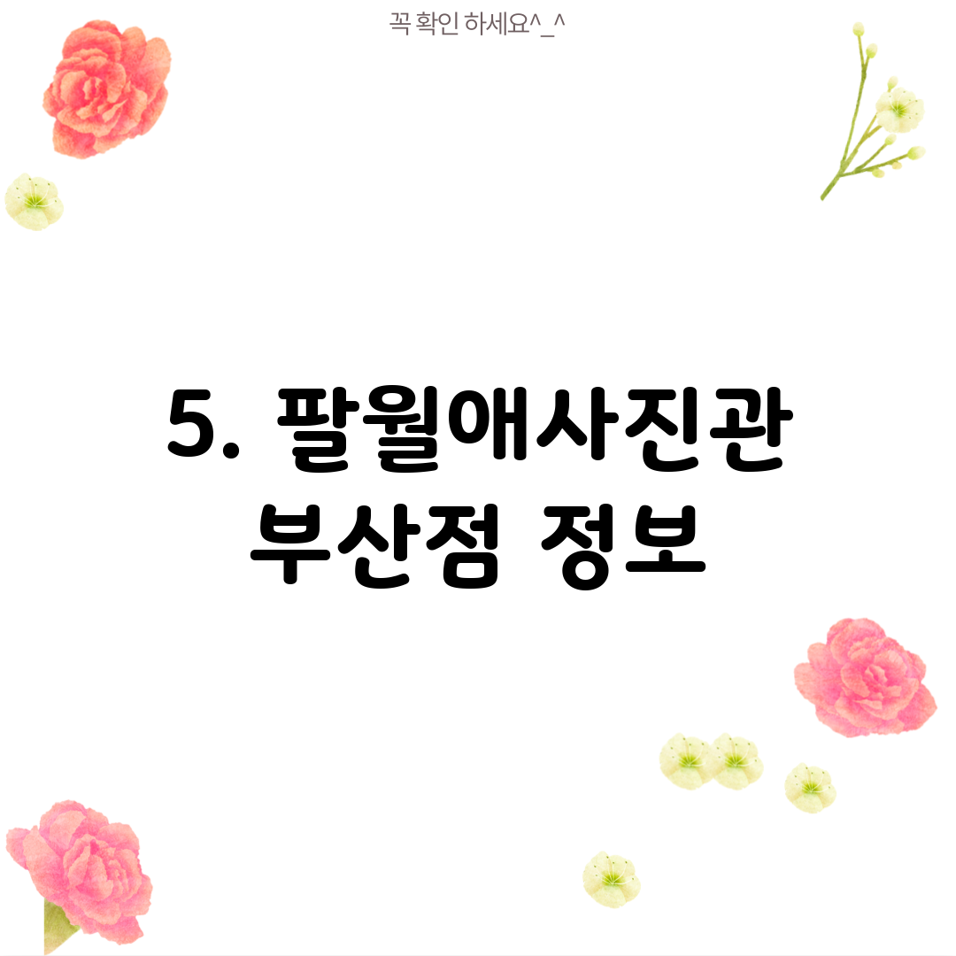 5. 팔월애사진관 부산점 정보