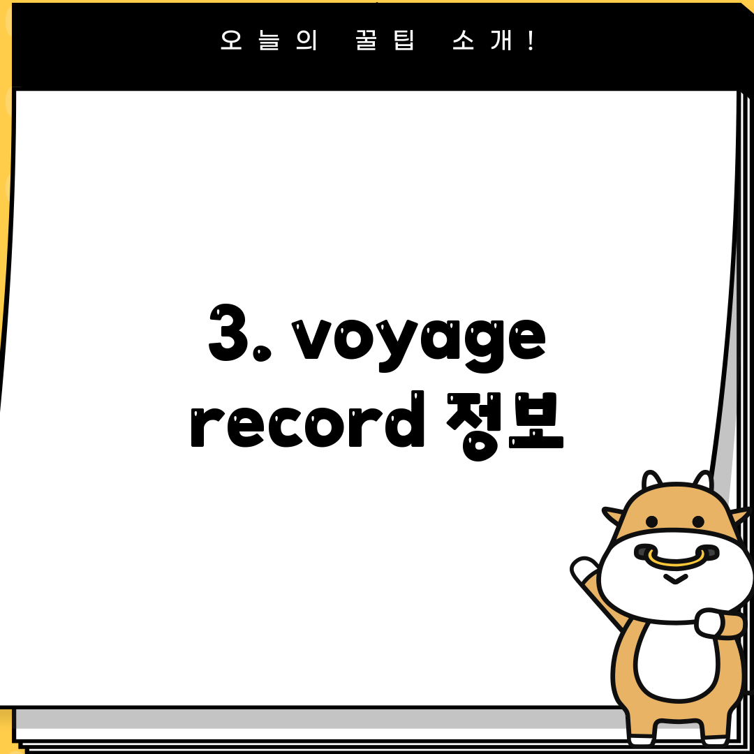 3. voyage record 정보