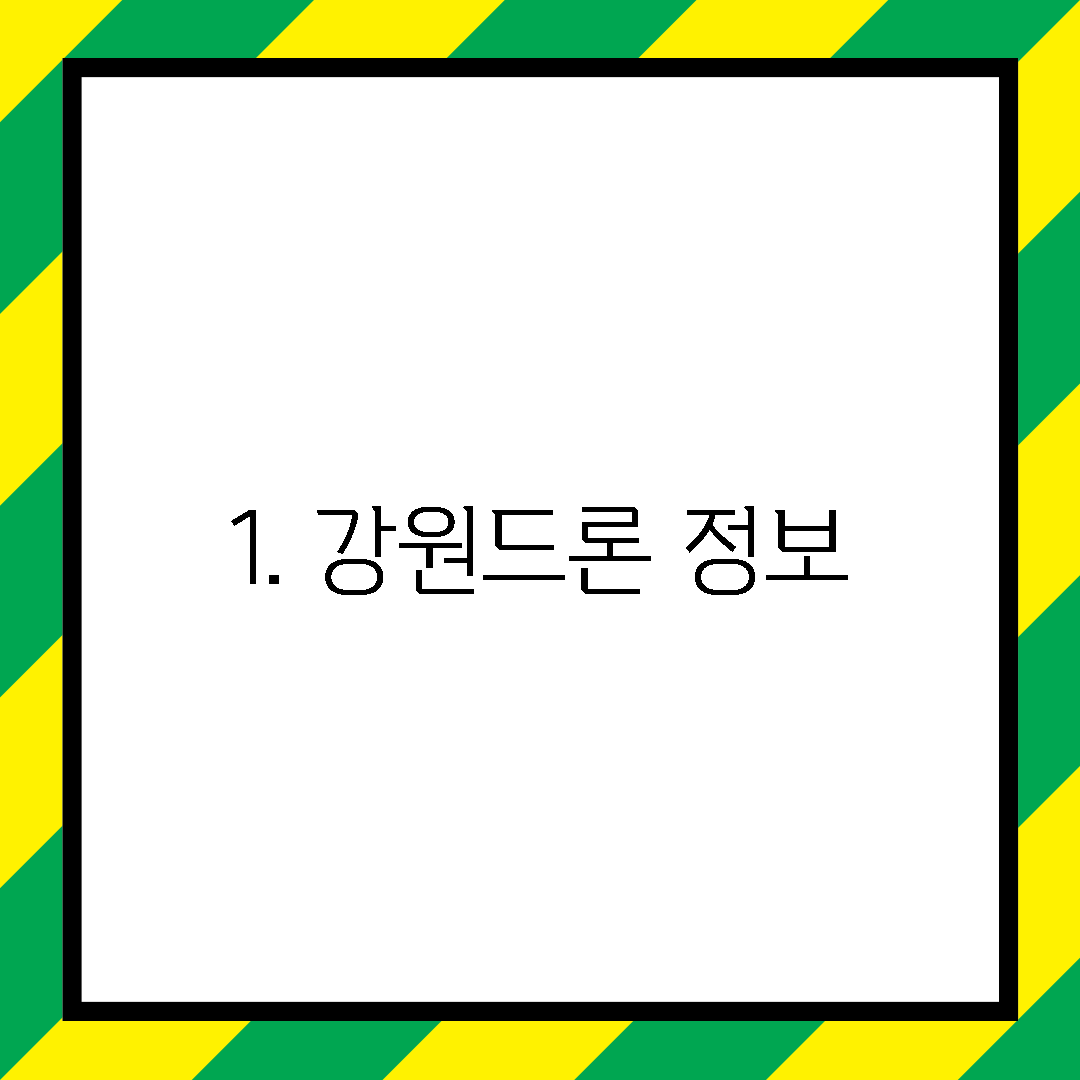 1. 강원드론 정보