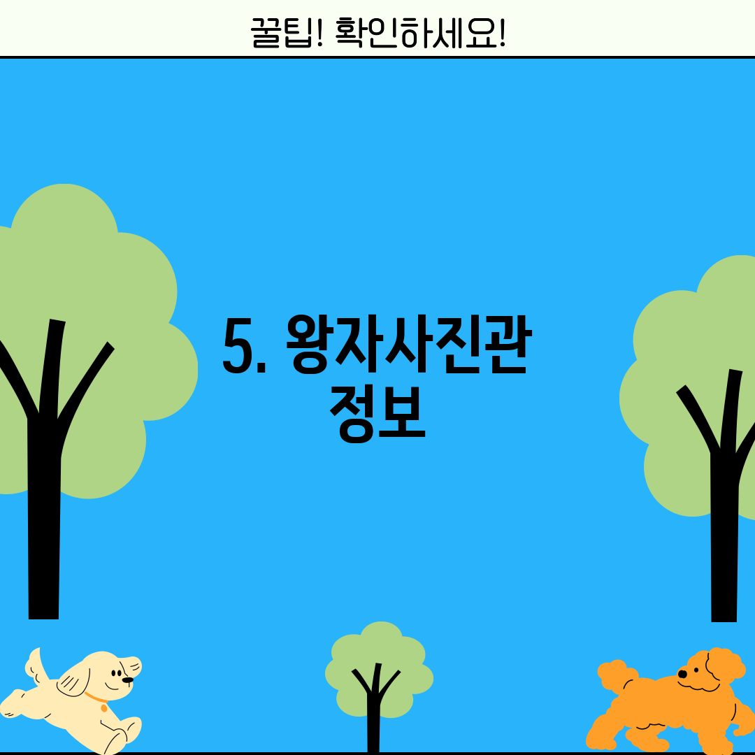 5. 왕자사진관 정보